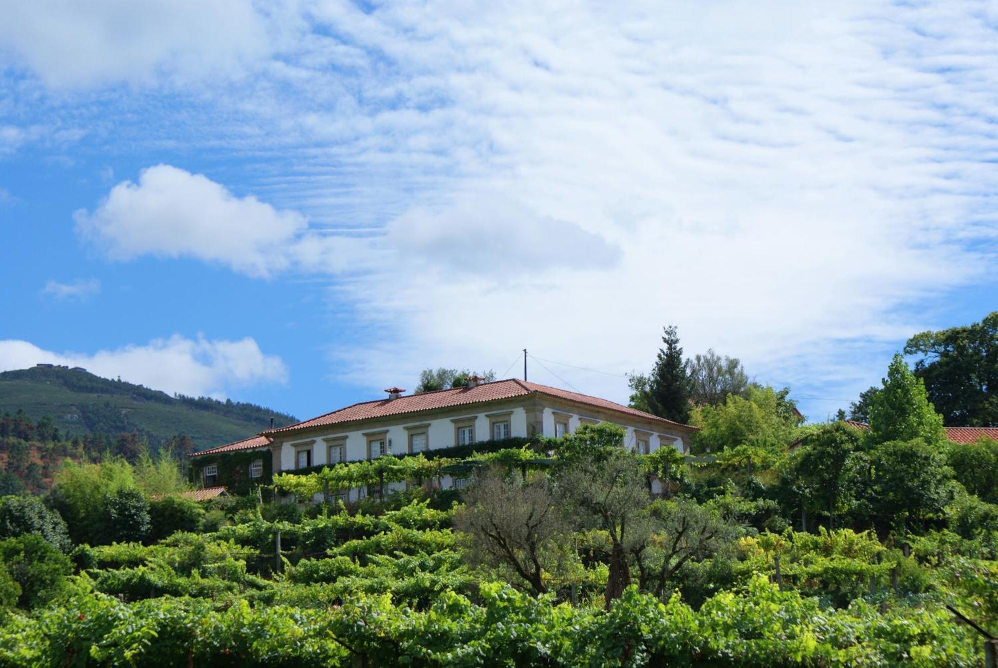 Casa Da Varzea Ponte de Lima Eksteriør billede